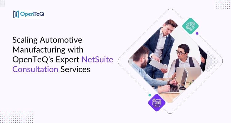 NetSuite Consulting Services for